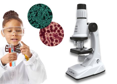 ładowanie obrazka...